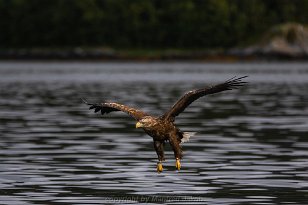 Norwegen